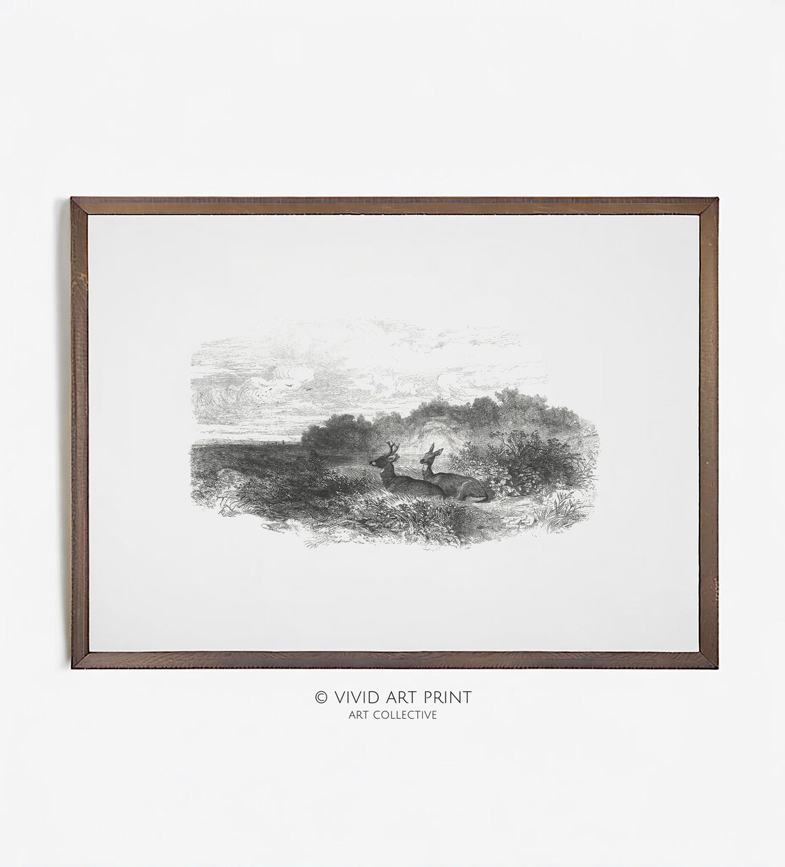 Vintage Deer Sketch, Antique Home Decor