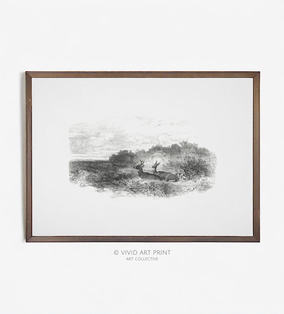 Vintage Deer Sketch, Antique Home Decor