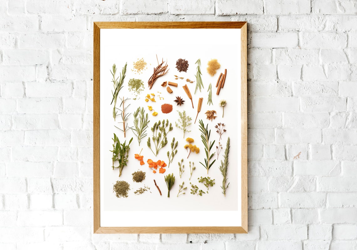 Dried Cooking Spices and Herbs Botanical Chart Kitchen Wall Art - Image 2
