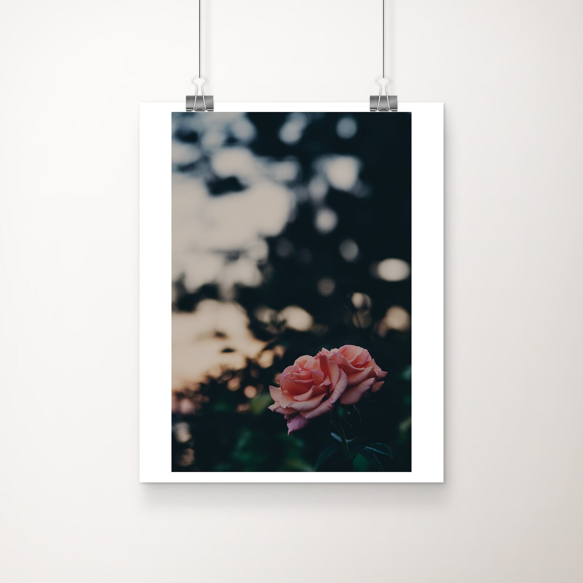 Single Pink Rose At Dusk Moody Garden Floral Photo Art Poster