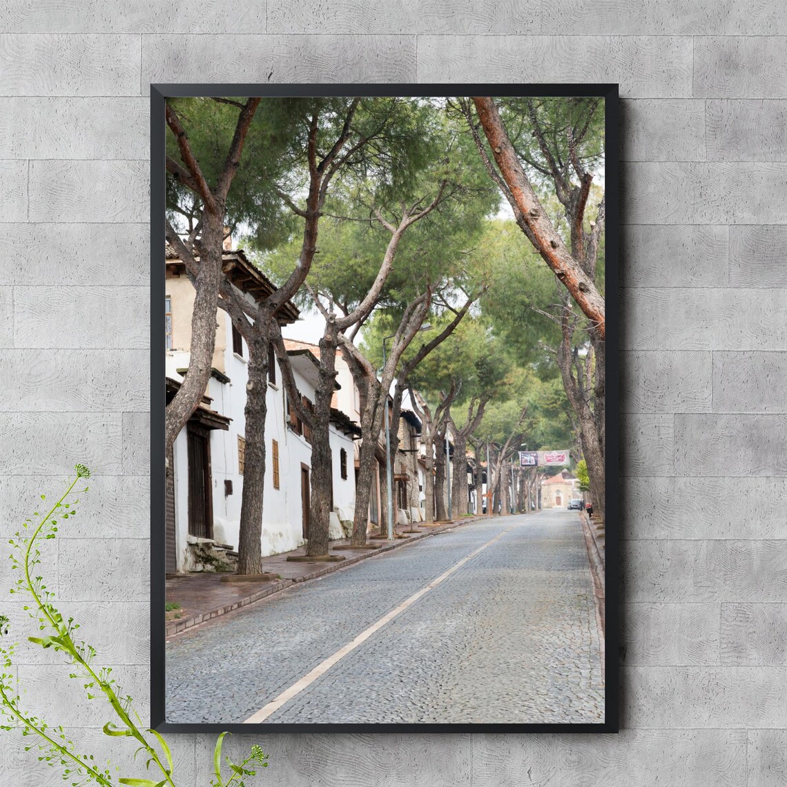 Turkish Village Cobblestone Street Tall Pine Trees Photography Travel Print