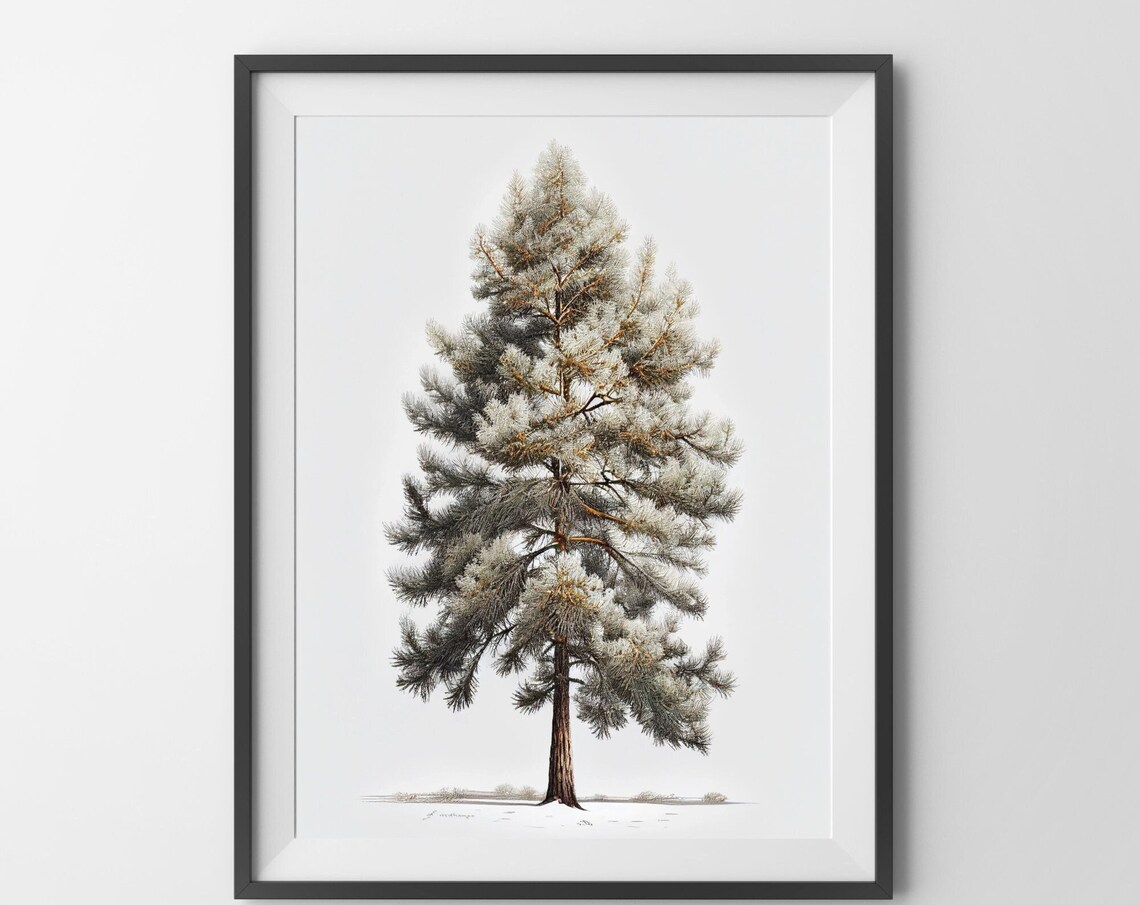 Old Pine Tree In Snow Illustrated Evergreen Winter Woodland Art Print - Image 4