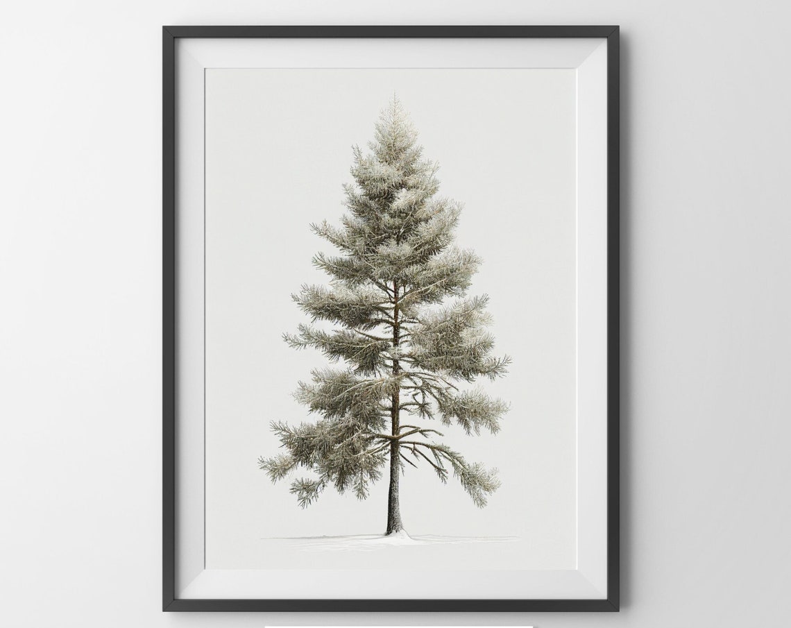 Snowy Pine Tree Minimalist Winter Botanical Single Tree Art Poster - Image 4