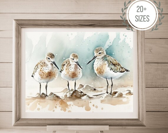 Three Sandpipers Watercolor Beach Birds Coastal Shoreline Wall Poster