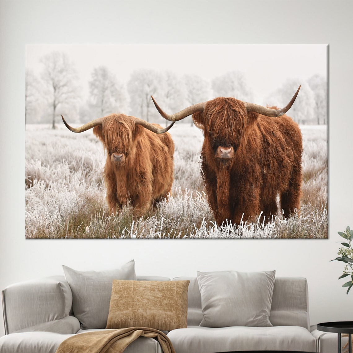 Two Red Highland Cows Frosty Winter Field Cattle Photography Poster