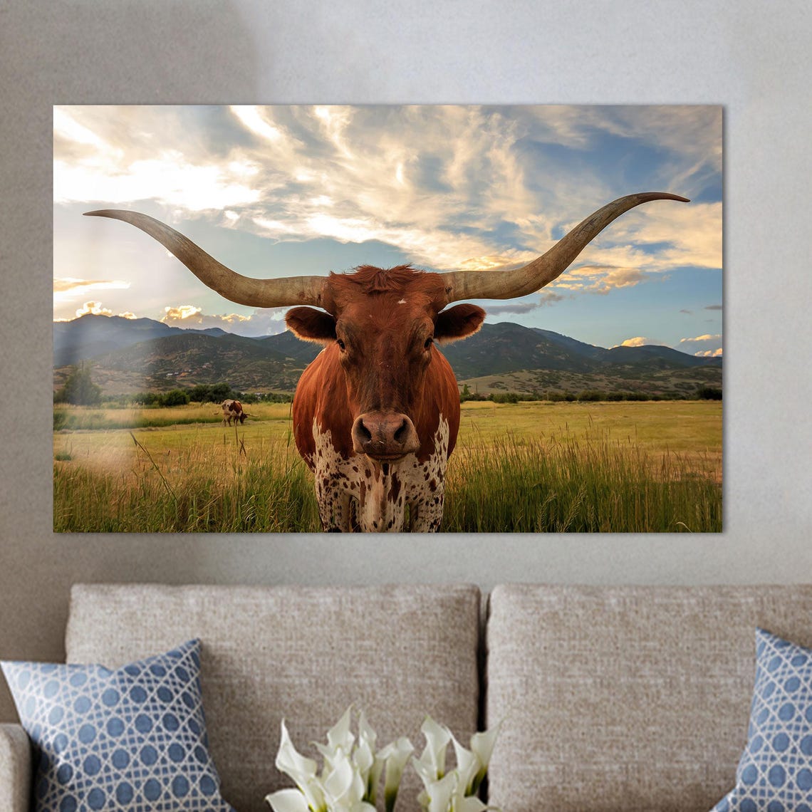 Texas Longhorn Cow Staring Forward In Golden Sunset Field Poster - Image 2
