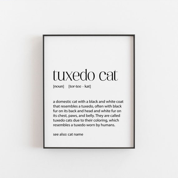 Tuxedo Cat Definition Art Print for Cat Lovers