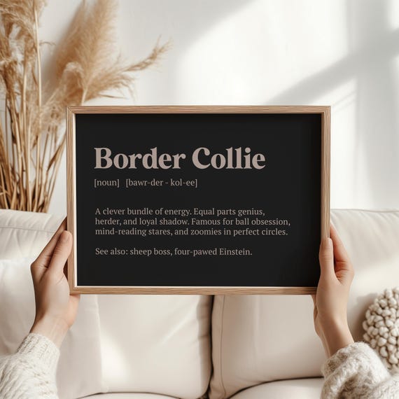 Border Collie Definition Print Funny Dog Lover Gift Christmas Pet Wall Art Owner Present Breed Typography