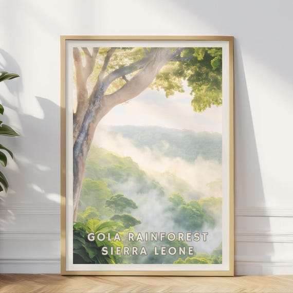 Gola Rainforest Sierra Leone Poster Misty Jungle Print African Rainforest Wall Art Nature Landscape Decor Exotic Travel Explorer Gift