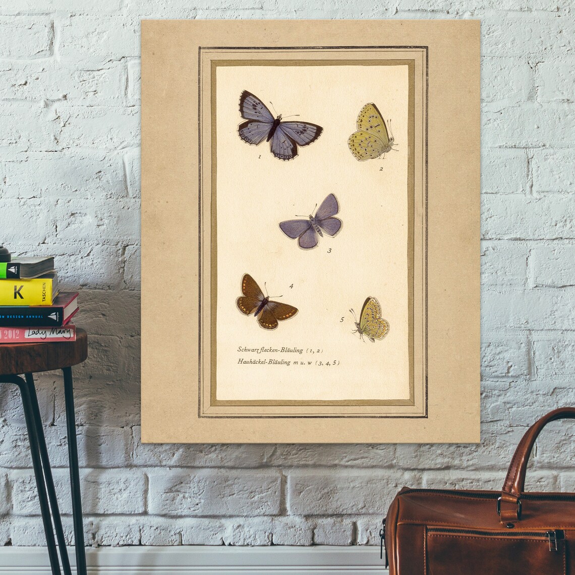 Vintage Blue Butterfly Plate Antique European Species Poster - Image 2