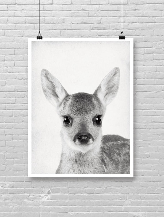 Baby Deer Fawn Portrait Black and White Cute Animal Art Poster