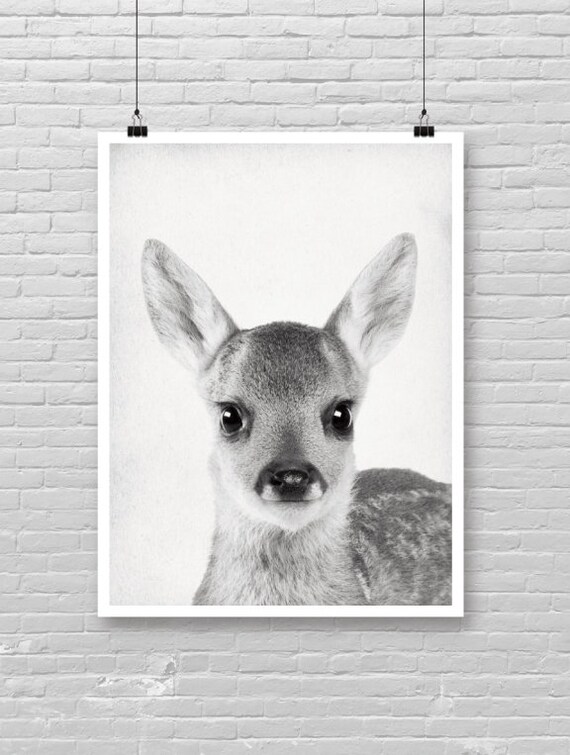 Baby Deer Poster Photo Print Forest Animal Theme Cute Face Wall Decor Nursery