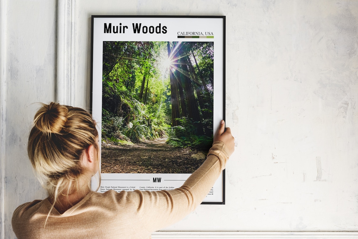 Muir Woods Minimal Travel Poster, Oil Painting - Image 4