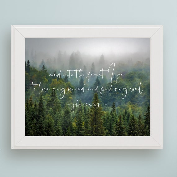 John Muir Quote Art And Into The Forest I Go To Lose My Mind Find My Soul Forest Photo Gift For Tree Huggers