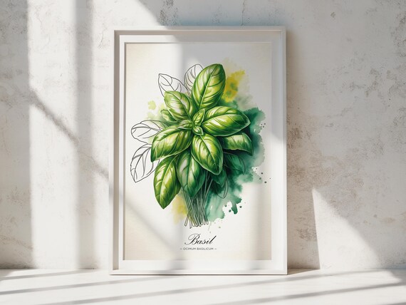 Basil Watercolor Art Print Botanical Kitchen Wall Decor