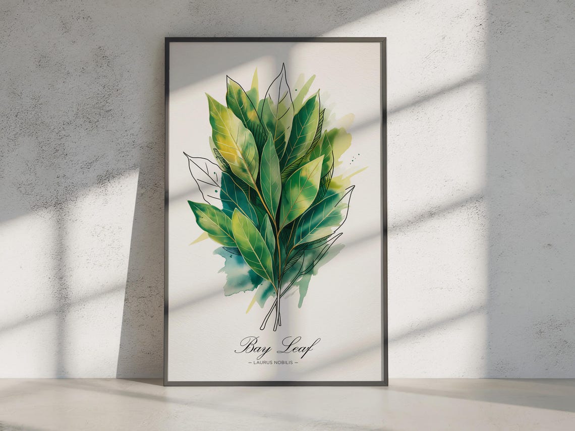 Bay Leaf Laurus Nobilis Botanical Watercolor Kitchen Wall Print