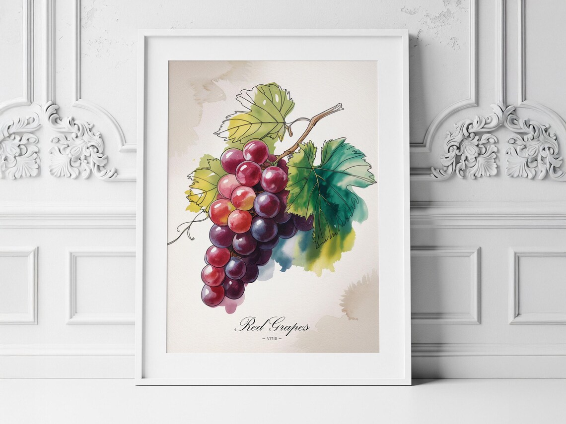 Red Grapes Watercolor Art Print Botanical Kitchen Wall Decor