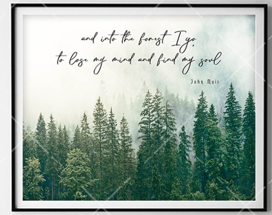 John Muir Forest Quote, Watercolor Nature Art Print