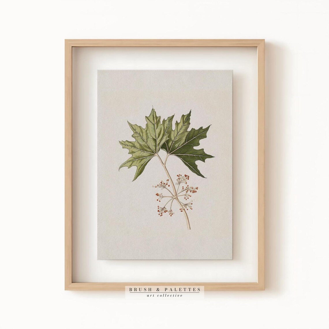 Vintage Botanical Leaf Illustration Antique Green Plant Study Poster