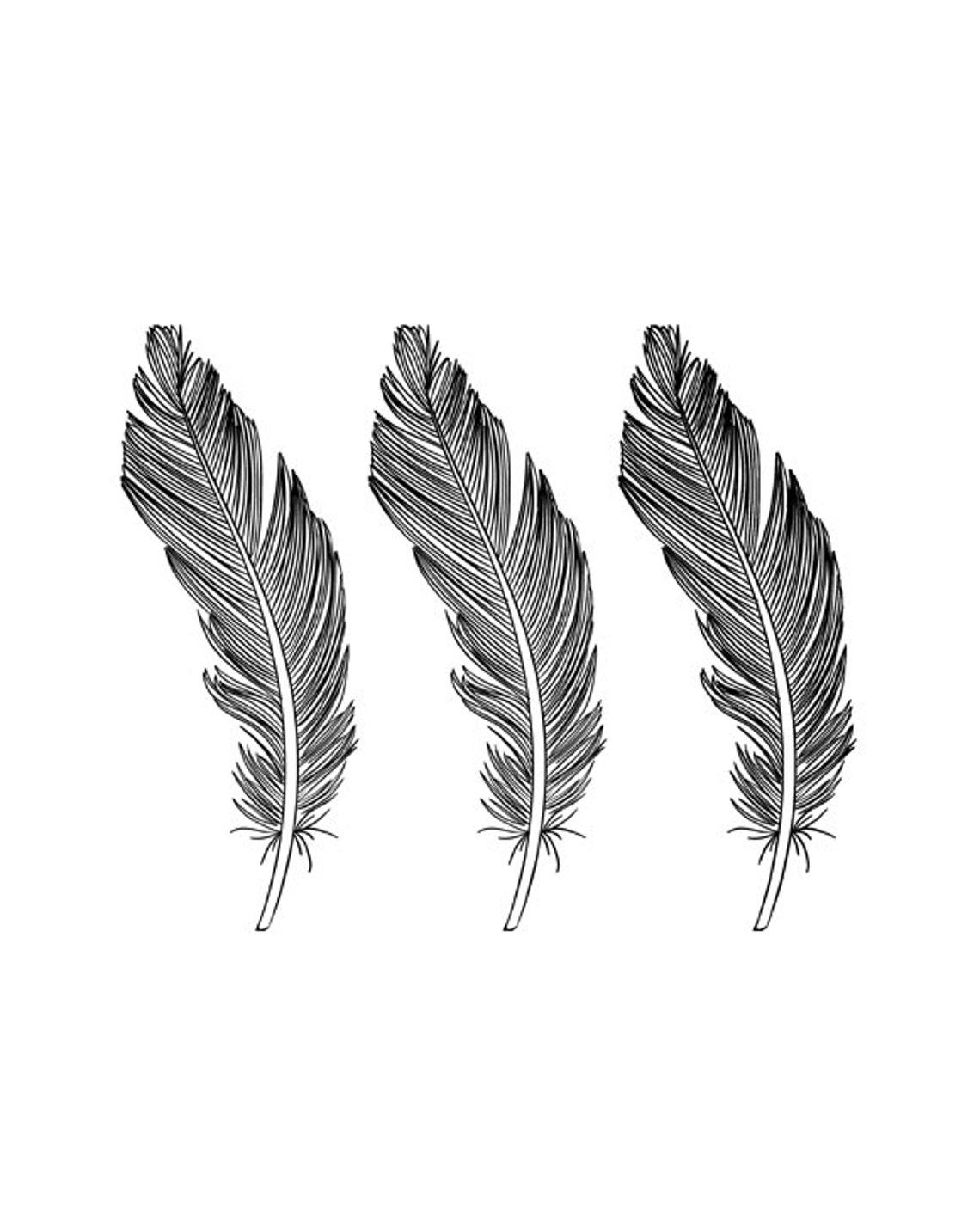 Three Black Feather Line Art Minimalist Boho Hand Drawn Wall Art Print