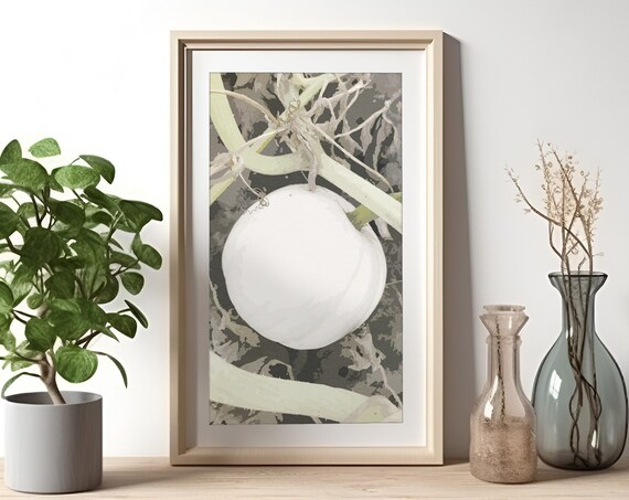 White Pumpkin