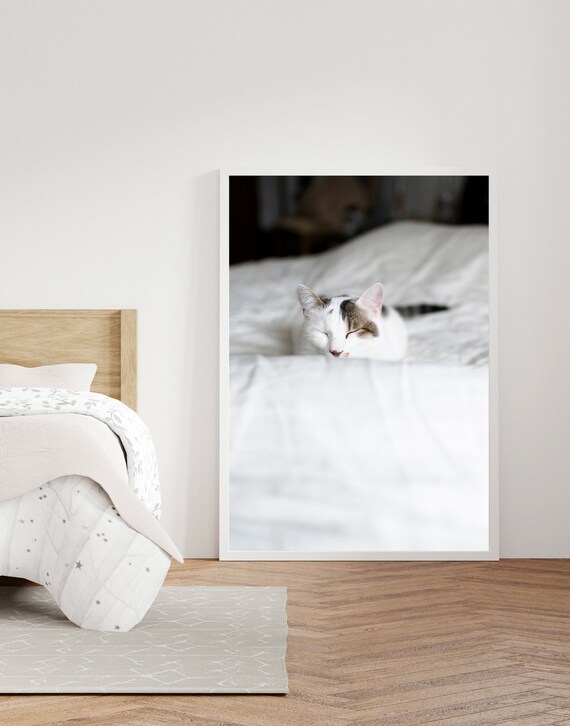 Sleeping White Tabby Cat Cozy White Bedding Pet Photo Poster