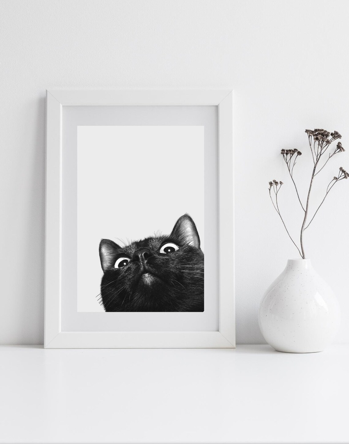 Curious Black Cat Peeking Up Wide Eyes Black White Photo Poster