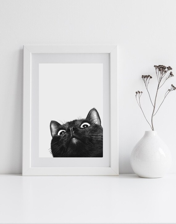 Curious Black Cat Peeking Up Wide Eyes Black White Photo Poster