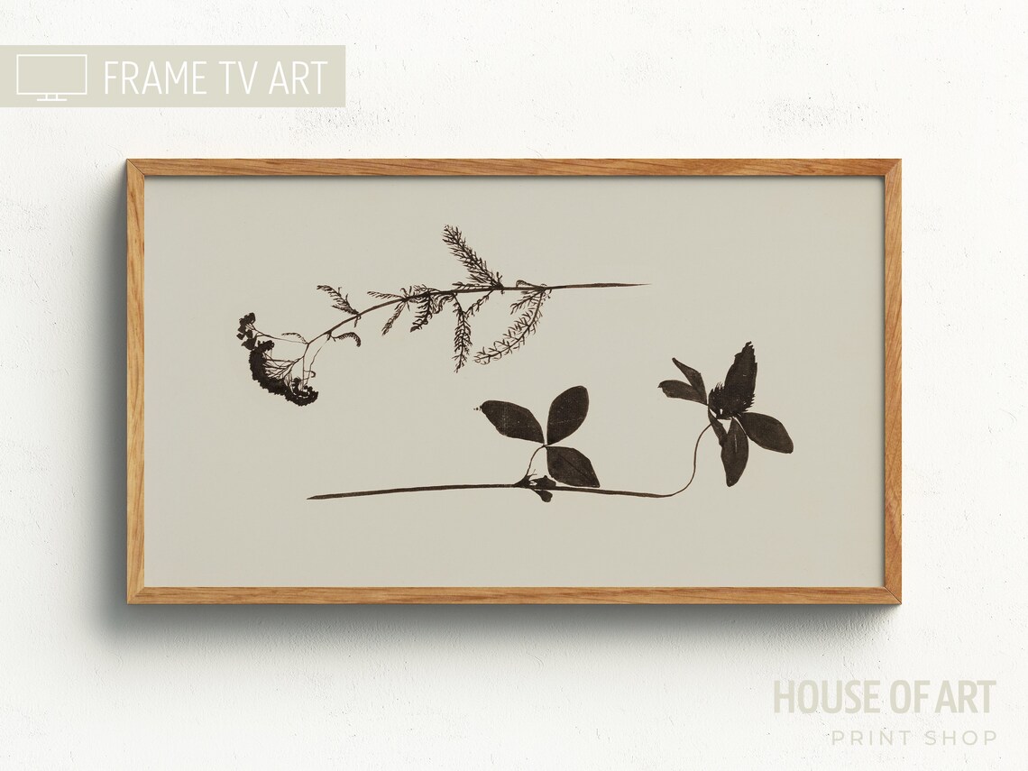 Vintage Two Flowers Botanical Art Print, Ink