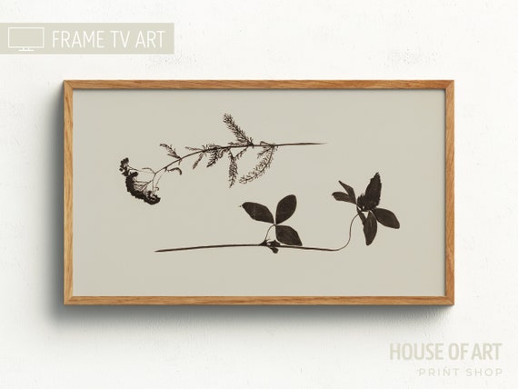 Vintage Two Flowers Botanical Art Print, Ink