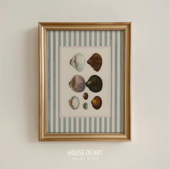 Oyster Shells Illustration Sage Green Striped Coastal Wall Art