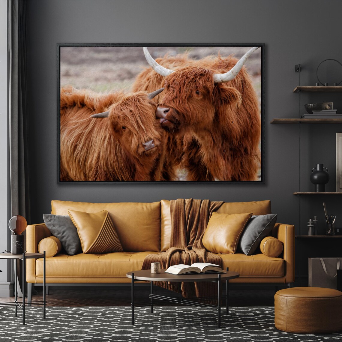 Scottish Highland Cows Nuzzling Cute Farm Animal Rustic Large Wall Art - Image 5