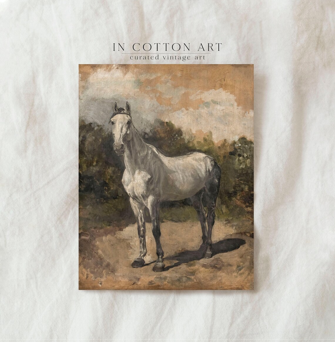 Vintage White Horse Art Print, Farmhouse Equestrian