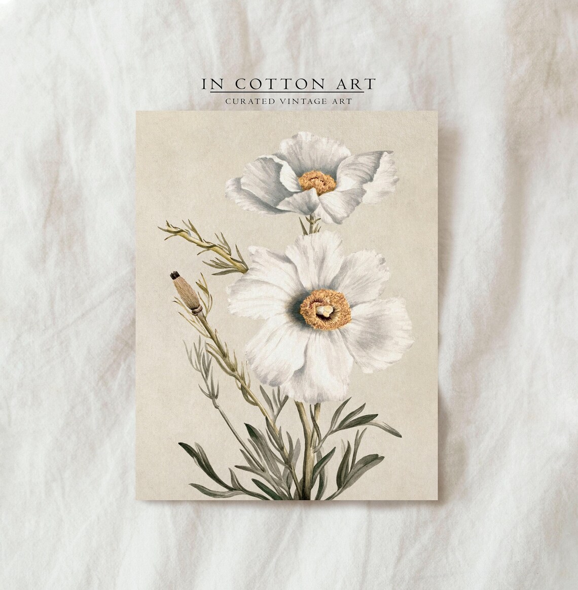 White Poppy Watercolor Art Print, Neutral Nursery