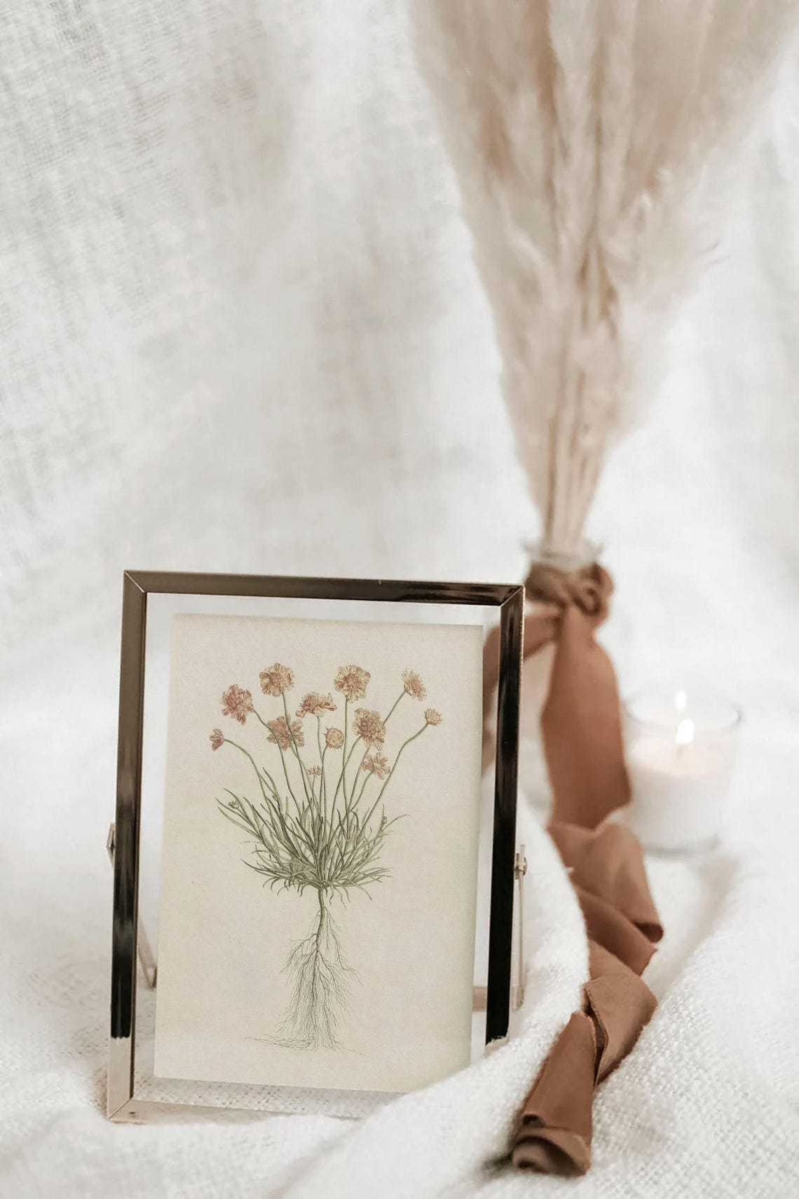 Pink Scabiosa Wildflower Botanical Roots Vintage Illustration Print - Image 2