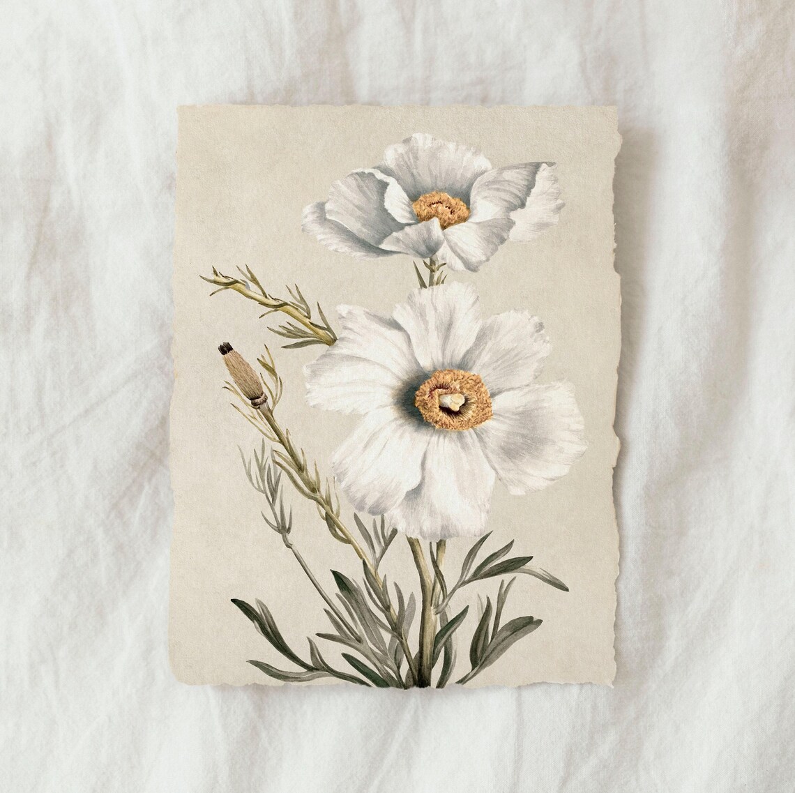 White Poppy Watercolor Art Print, Neutral Nursery - Image 3