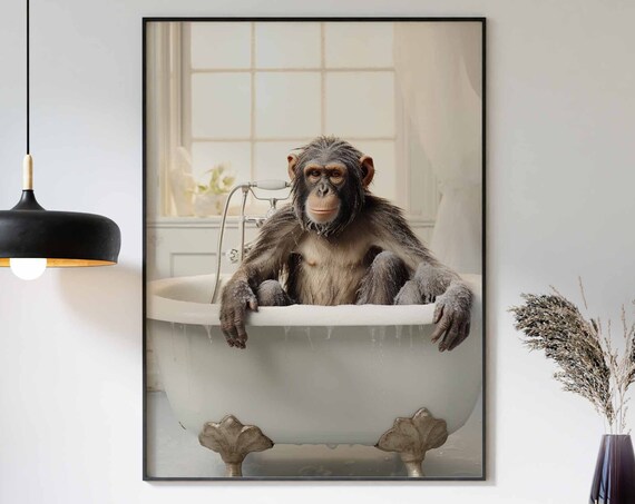 Wet Chimpanzee Dripping Water In A White Clawfoot Tub Poster