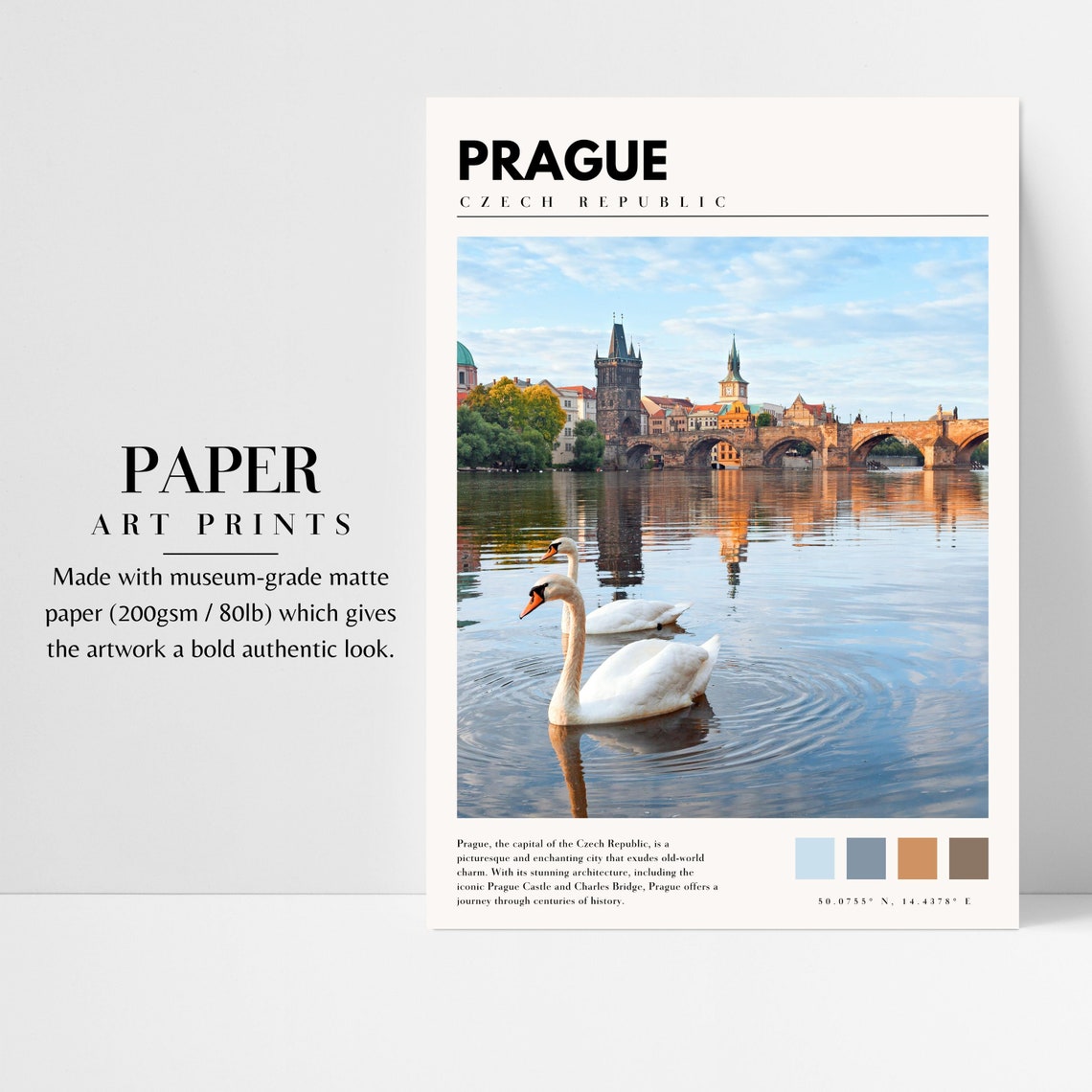 Prague Charles Bridge with Two Swans on the Vltava River Poster - Image 3