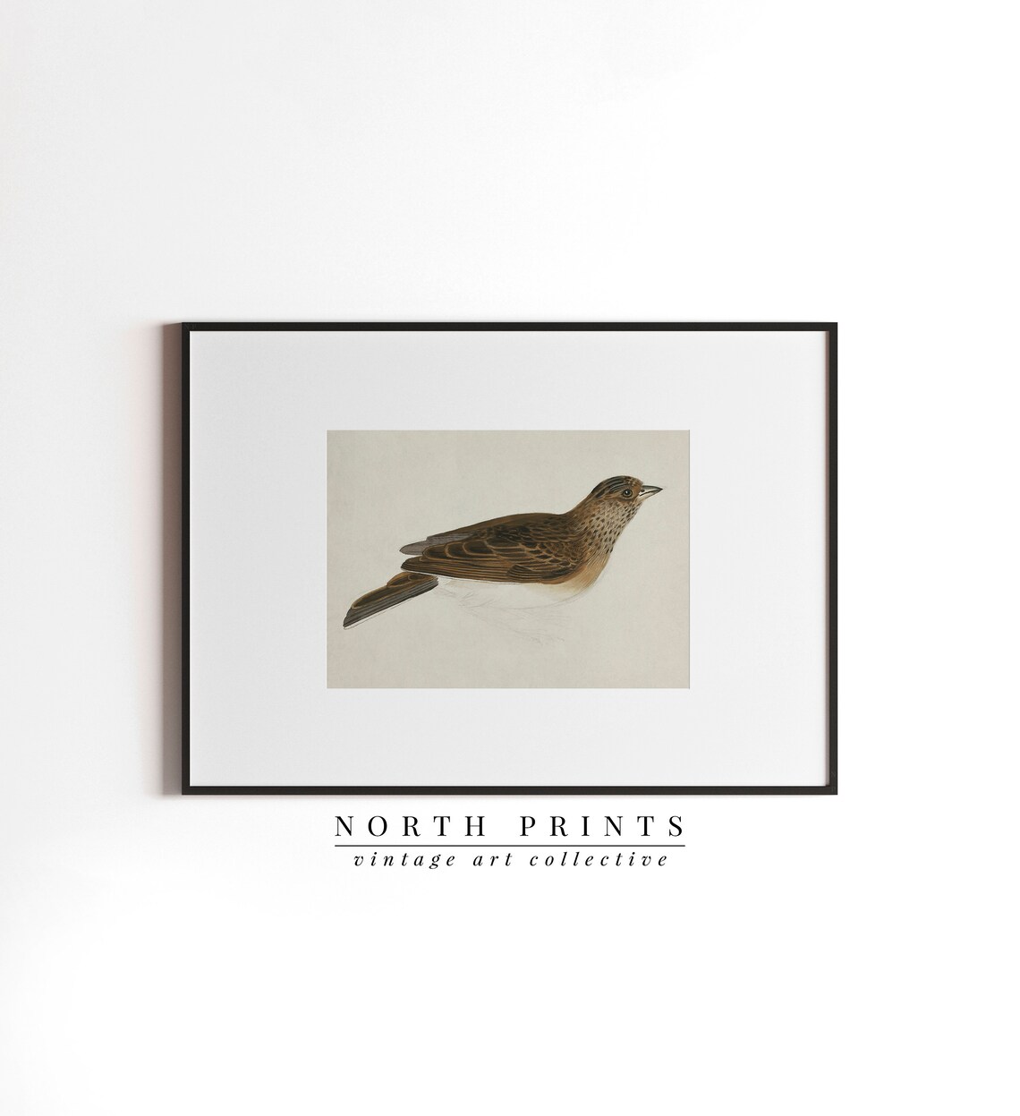 Antique Bird Print, Rustic Farmhouse Decor - Image 2
