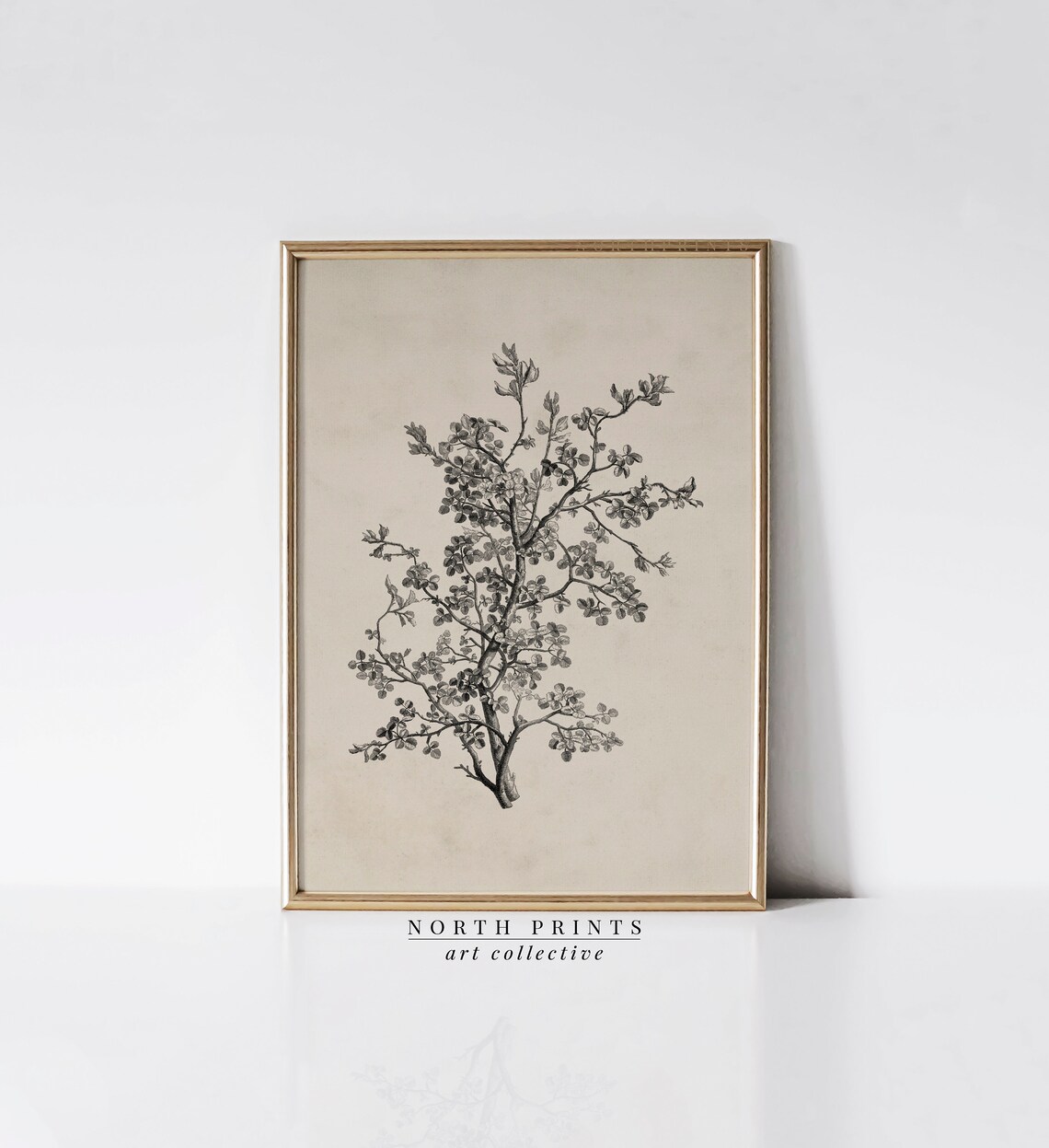 Antique Botanical Sketch, Vintage Neutral Farmhouse Print - Image 2