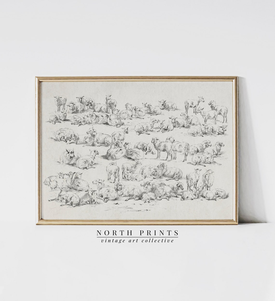 Flock of Sheep Study Drawing Antique Pencil Sketch Animals Wall Art - Image 4