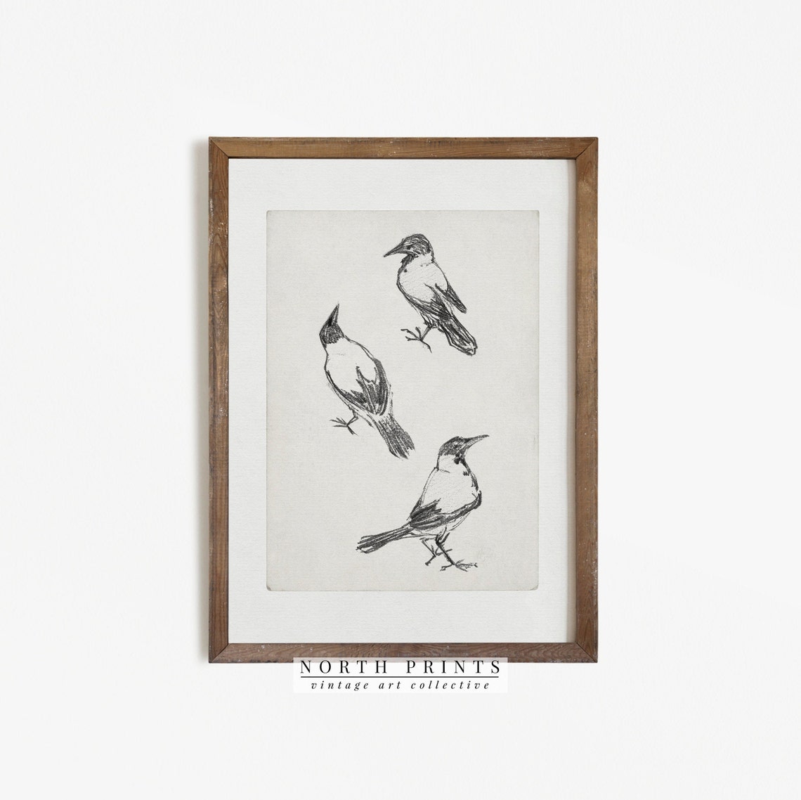 Three Perched Birds Minimalist Black White Vintage Sketch Wall Art