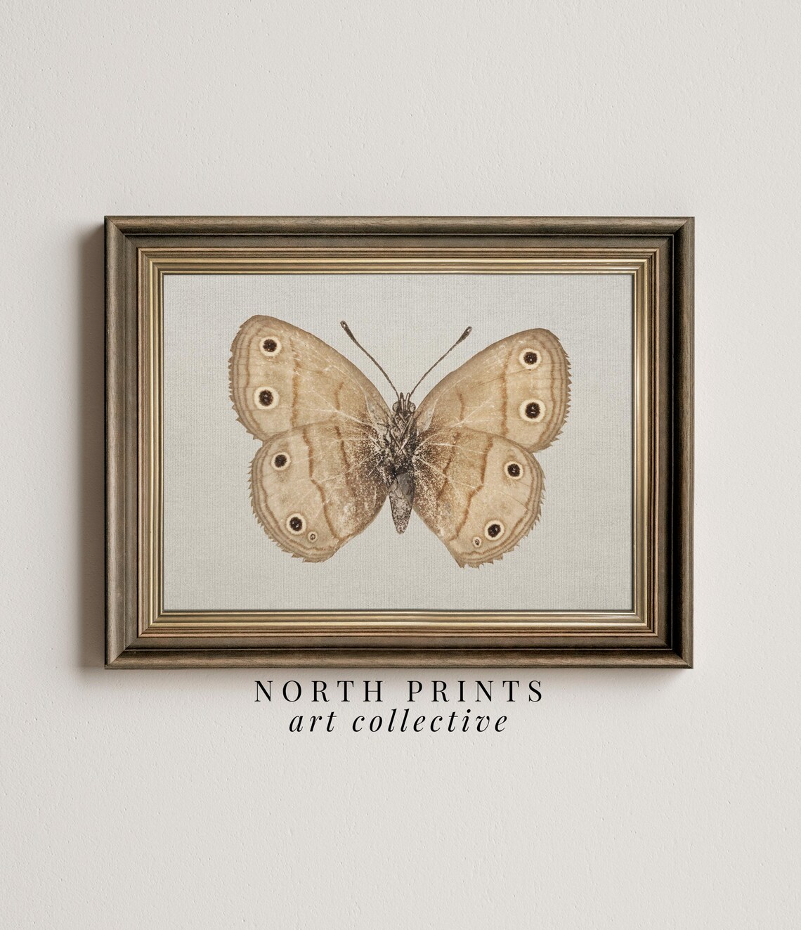 Vintage Butterfly and Moth Art Print, Cottagecore Decor