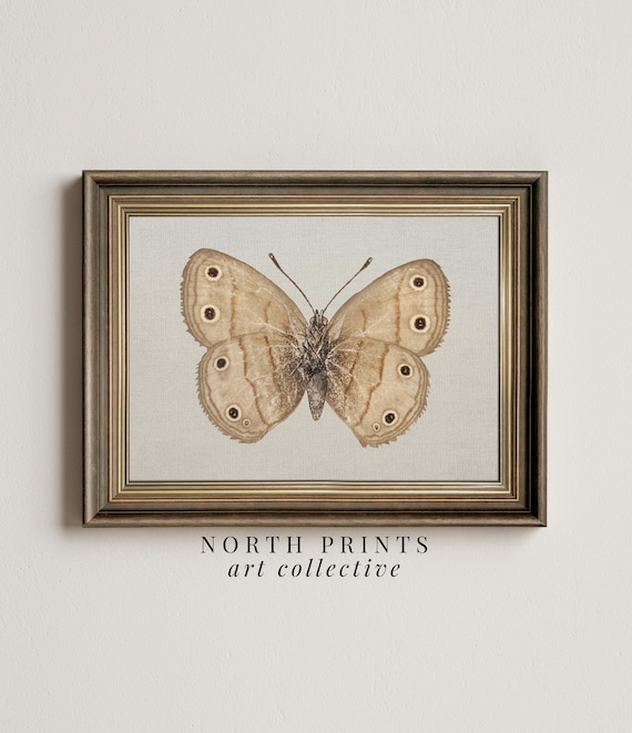 Vintage Butterfly and Moth Art Print, Cottagecore Decor