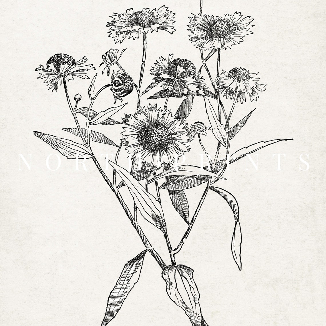 Wildflower Bouquet Black Ink Sketch Vintage Botanical Drawing Print - Image 2