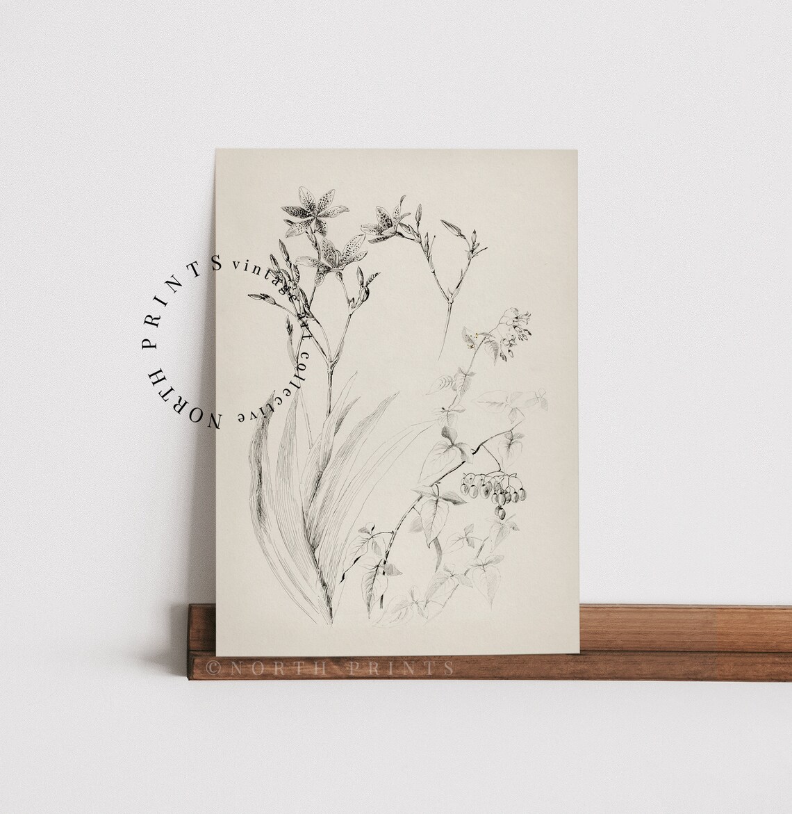 Vintage Neutral Flower Sketch Botanical Art Print - Image 4