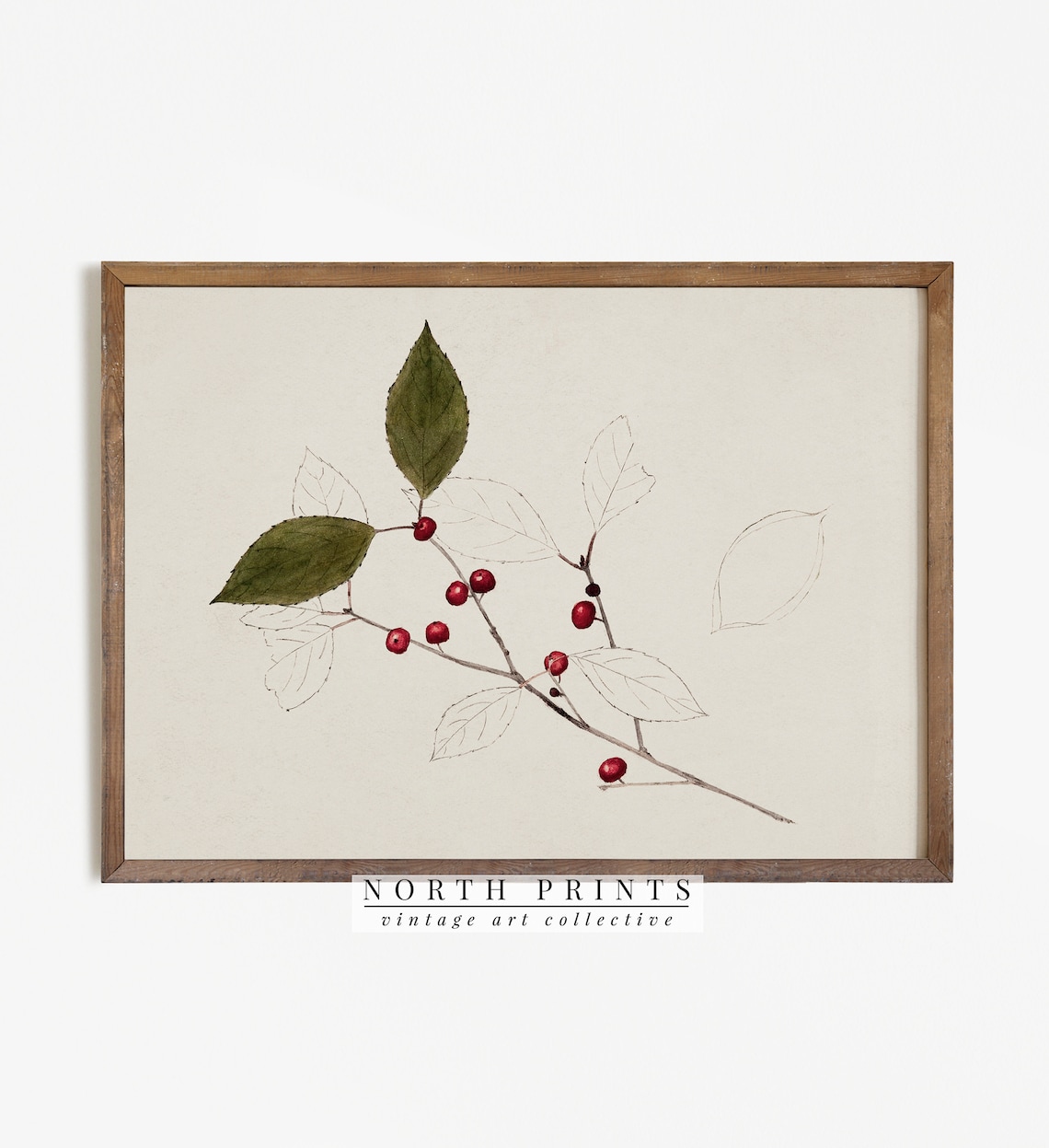 Vintage Botanical Christmas Art Print
