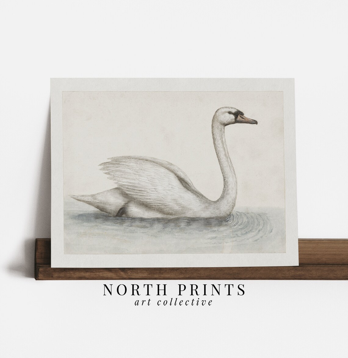 Swan Vintage Nursery Farmhouse Art Print