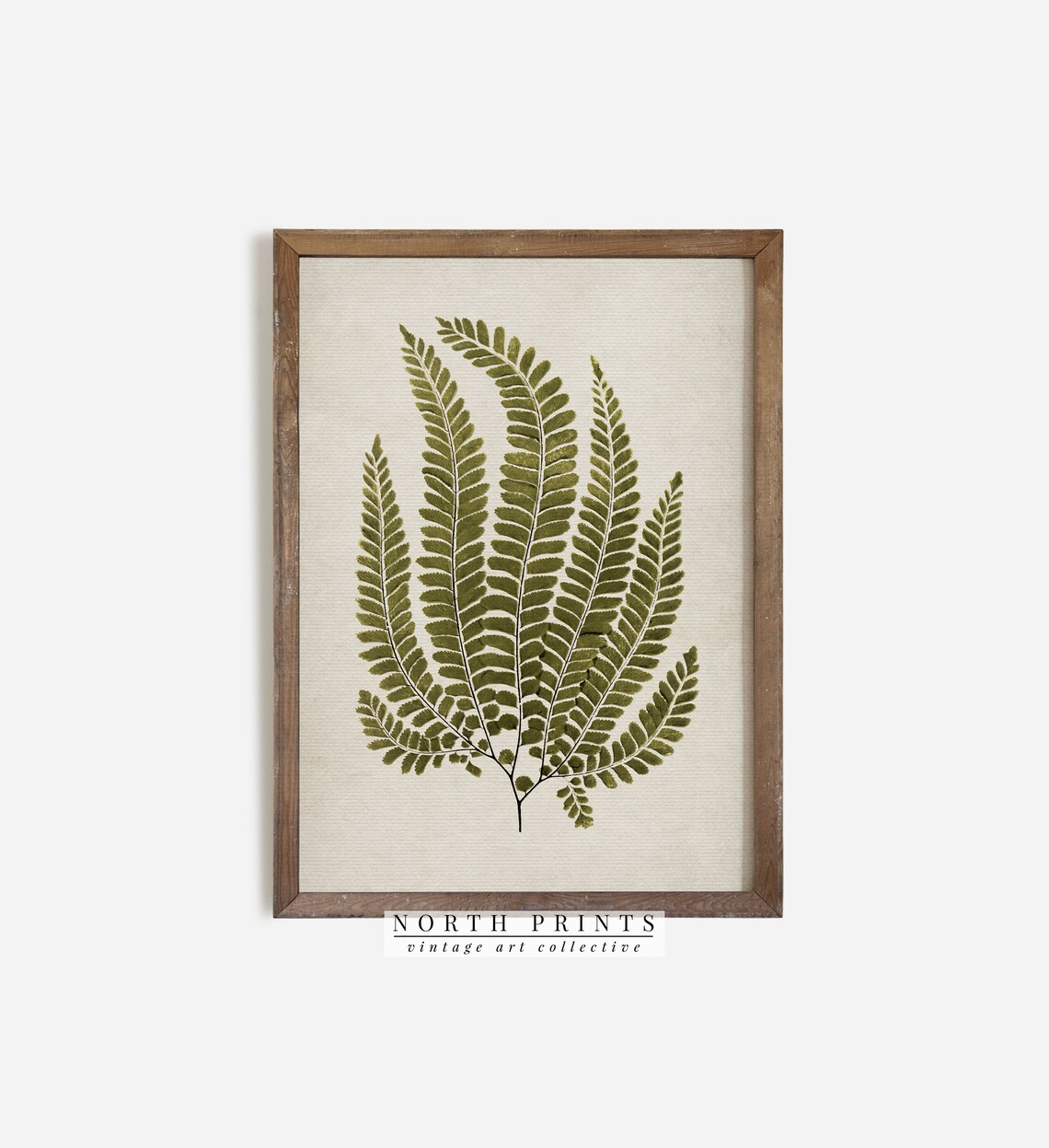 French Country Vintage Fern Art Print, Botanical - Image 3