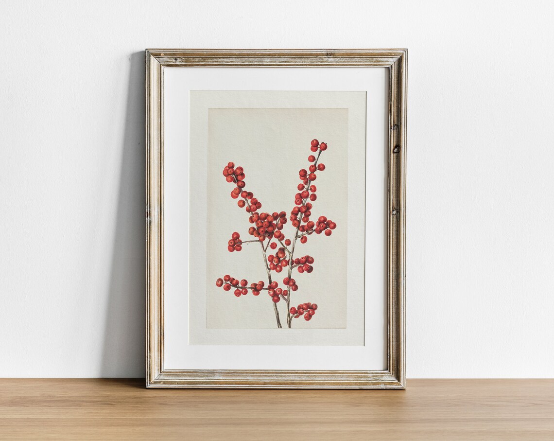 Red Winter Berries Watercolor Antique Botanical Christmas Art Print - Image 2